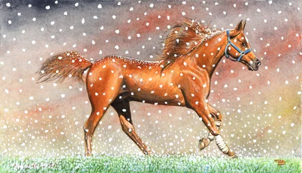 Nieve de Navidad