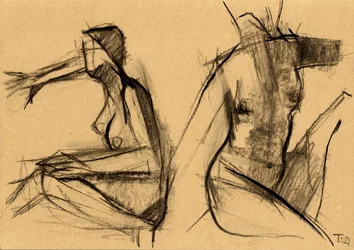 Desnudos femeninos abstractos