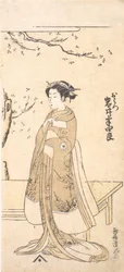 El cuarto Imai Hanshiro en el papel de O Hatsu en Sakaicho Soga Nendaiki, 2º mes, 1771