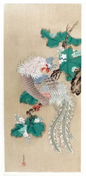 Japón: representación de un fenix (ave fénix). Pintura sobre seda de Tosa Mitsuoki (1617-1691)
