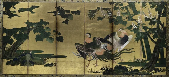 Fénixes y Paulownia, finales de 1500