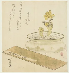 Planta en maceta y almanaque