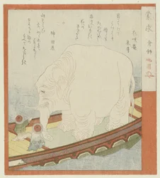 Sôjô con un elefante Los buscadores ignorantes (título de la serie sobre el objeto)