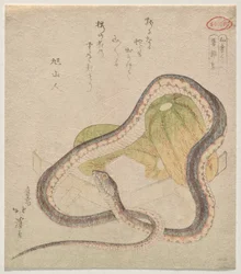 Serpiente entrelazada con calabazas (¿Chomonj?; abreviatura de Kokon Chomonj?)