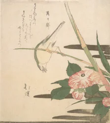 Reinita y camelia, ca. 1815-20