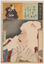 Gato de Okazaki (Okazaki Neko)