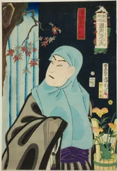 El actor Sawamura Tossho II como Karukaya Doshin, No. 5 de la serie "Flores de Tokio: Caricaturas de Kunichika (Azuma no hana Kunichika manga)"