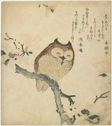 (Búho), principios del siglo XIX