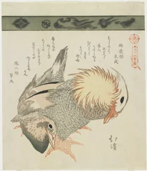Pato mandarín y pato, c. 1830