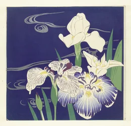 Iris, 1890-1900