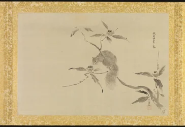 Álbum de copias de pinturas chinas