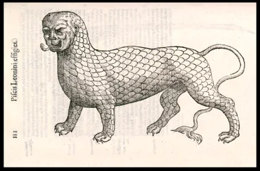 Criatura monstruosa: un león cubierto de escamas de pez. Grabado de Ulisse Aldrovandi, "Monstrorum Historiae", Bolonia 1642