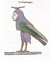 Ornithantropos. Pájaro con cabeza humana. Ulisse Aldrovandi “De monstrorum Historia” Bolonia 1642
