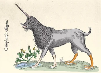 Representación de un camphurch, monstruo de las Islas Molucas. Grabado por Ulisse Aldrovandi (1522-1605), 