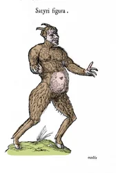 Representación de un sátiro. Placa de un manuscrito de Historia Natural de Ulisse Aldrovandi (1522-1605) sobre monstruos