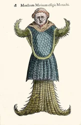 El monje marino, pez imaginario y monstruo marino por Ulisse Aldrovandi (1522-1605), "Monstrorum Historiae", Bolonia 1642