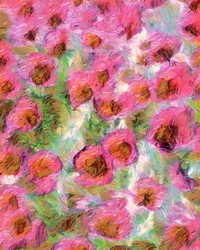 Flores rosas de ensueño