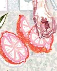Mano y cítricos rosados
