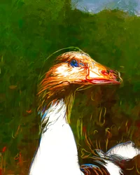 Retrato de un ganso lleno de vida