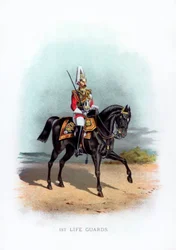 1ª Guardia de Vida