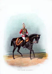 2º Guardias de Vida, 1888