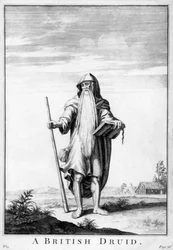 Un druida británico