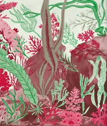 Una colección de más de cincuenta especies de algas rojas, verdes y marrones, 1935