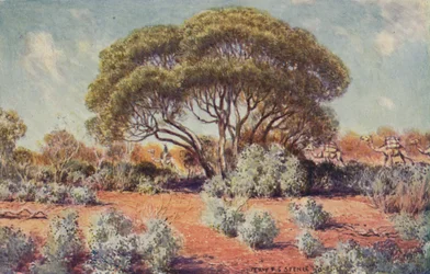 Un lugar fértil en Australia Central, 1923