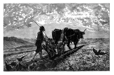 Un agricultor francés, c. 1890