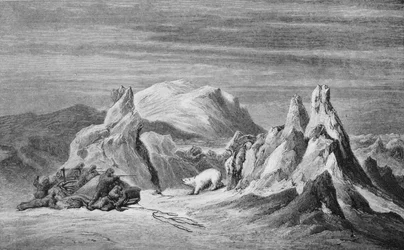 Una fiesta del Tegetthoff encuentra un oso