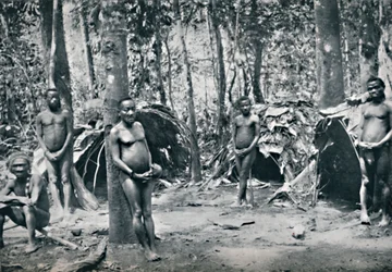 Una aldea pigmea, Cuenca del Congo nororiental