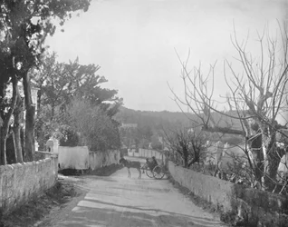 Un camino en Port Royal, Bermudas, siglo XIX