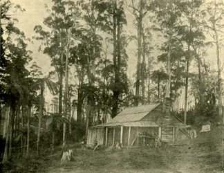 Una vivienda rústica, 1901