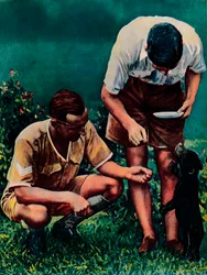 Una mascota de Singapur de la RAF, 1940
