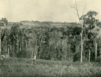 Una granja de montaña victoriana, 1901