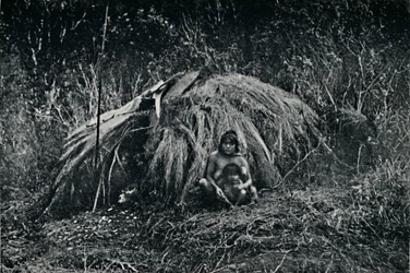 Una choza Yaghan en Fuegia, 1911