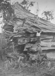 Un gran trozo de madera brasileña, 1914