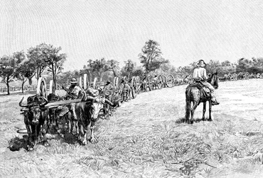 Un convoy de vagones, Sudamérica, 1895