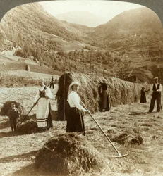 Una familia de agricultores haciendo heno en un campo soleado entre las montañas, Roldal, Noruega