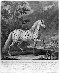 Una rareza en color, Alemania, 1722-1938