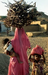 Una familia local de leñadores de un pueblo en Rajasthan. Rajasthan, India. 25 de febrero de 2005. (foto)