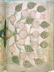 Una página del Liber Floridus, siglo XII