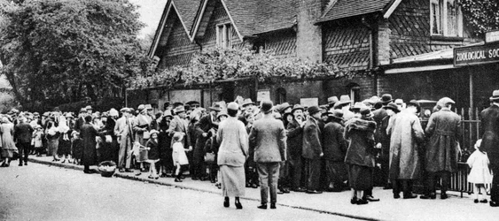 Una cola para entrar al zoológico durante una fiesta nacional, Londres, 1926-1927
