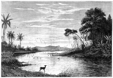 Una escena de río en Venezuela, 1877