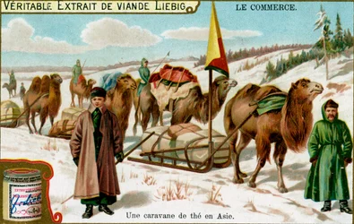 Una caravana de té en Asia, c1900