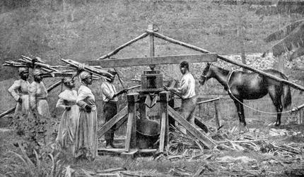 Un molino de caña de azúcar impulsado por caballos de madera, Indias Occidentales, 1922