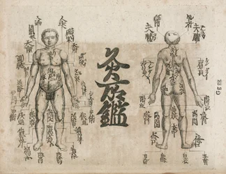 Acupuntura, diagrama del cuerpo humano que indica los puntos de moxibustión (diagrama de moxibustión que muestra dónde se debe evitar el singe)