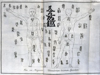 Acupuntura: carta del cuerpo humano que indica los puntos de moxibustión, Japón (carta relativa a la moxa, hacia 1690)