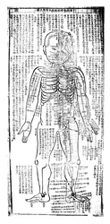 Gráfico de acupuntura para la parte frontal del cuerpo, japonés, siglo XIX