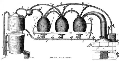 Adams quieto, 1886